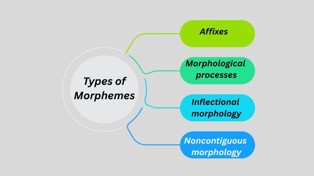 Types of Morphemes 