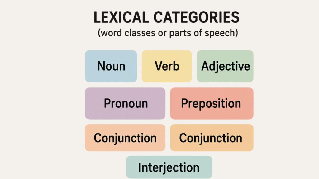 Lexical Categories