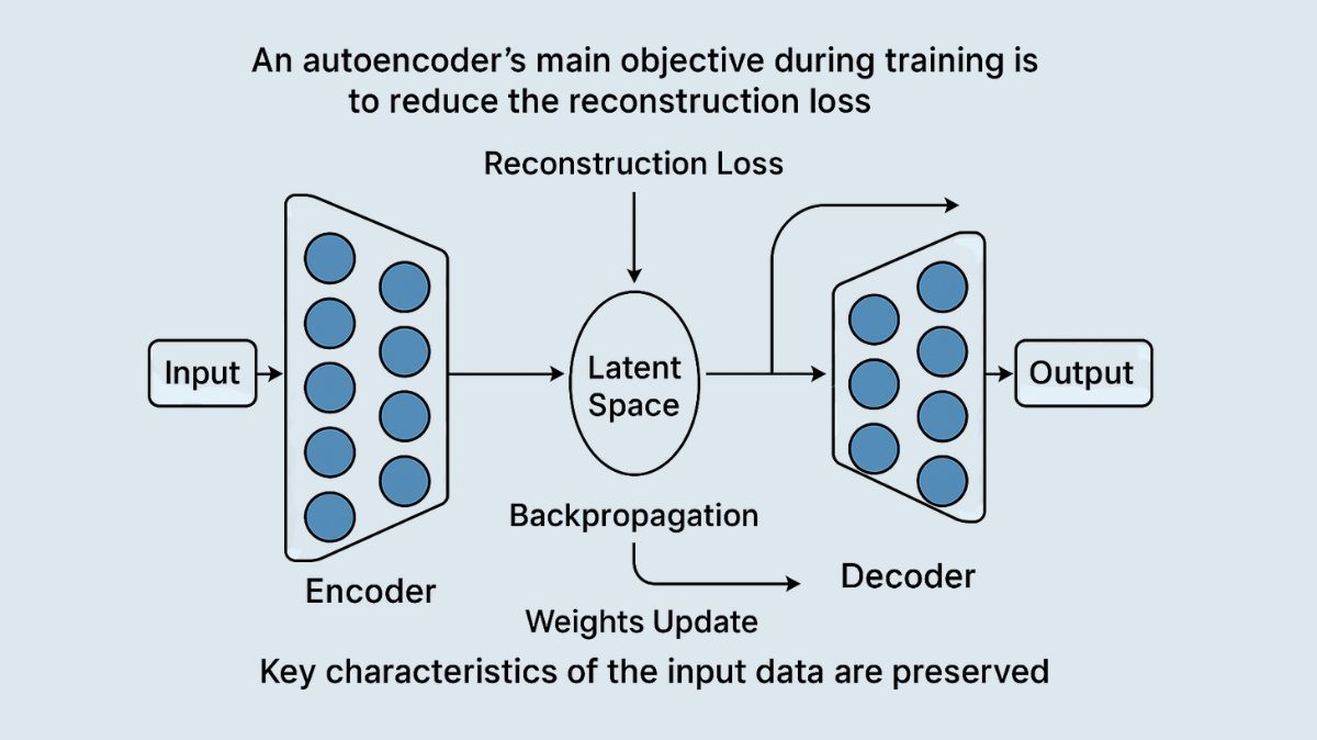 What is Autoencoders? and Components of Autoencoders