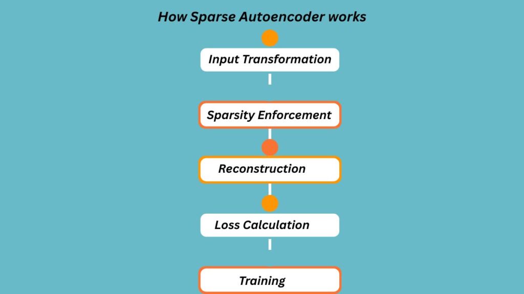 How Sparse Autoencoder works How Sparse Autoencoder works