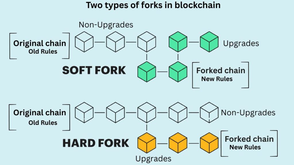 What are the two types of forks in blockchain?
