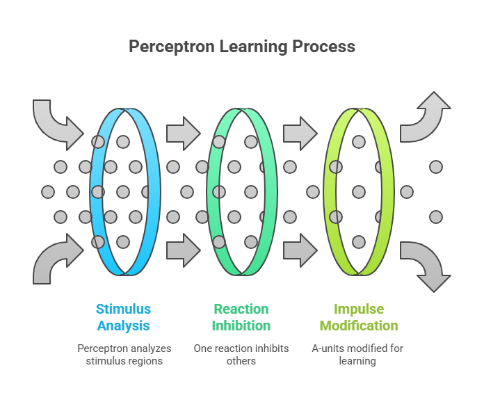 Perceptron Perceptron