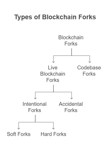 Types of Blockchain Forks Types of Blockchain Forks