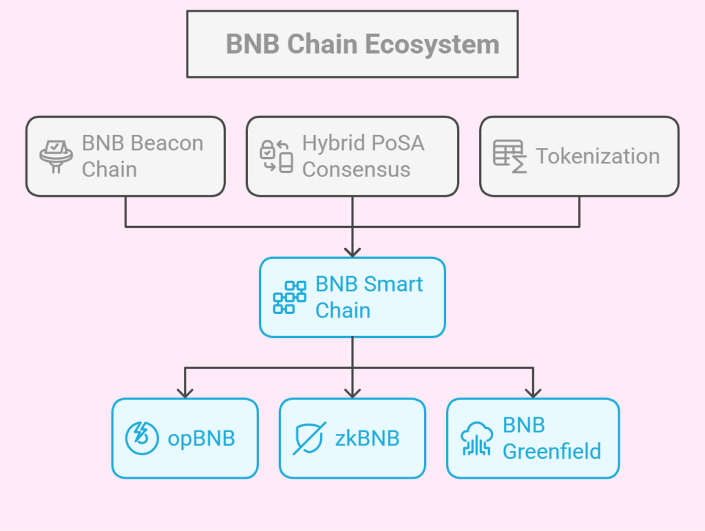 BNB Chain Ecosystem