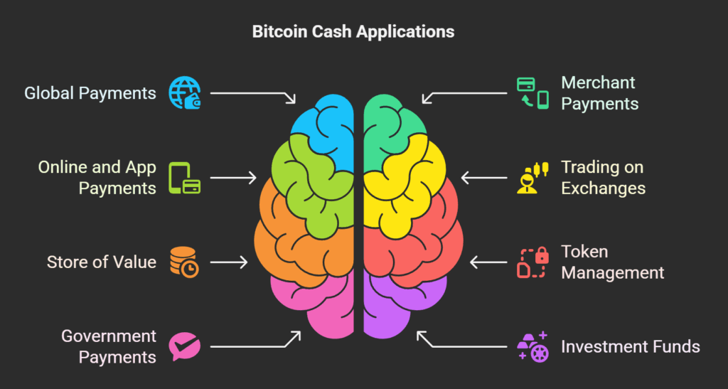 Bitcoin Cash Applications