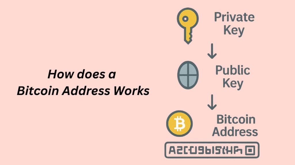 How does a Bitcoin Address Works