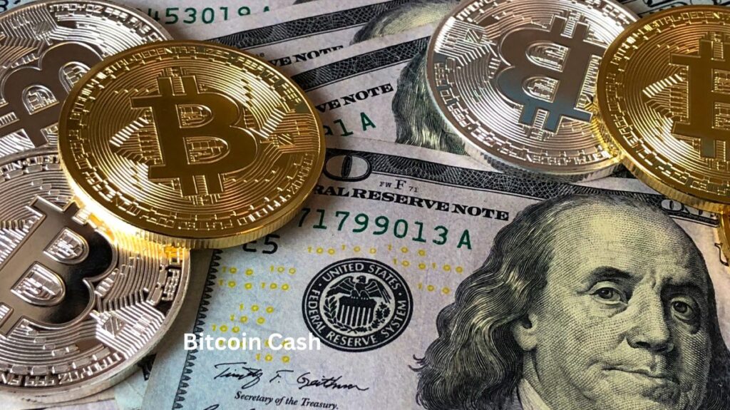 Bitcoin cash
