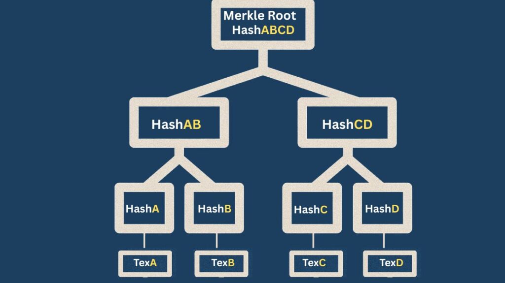 Merkle Root in blockchain