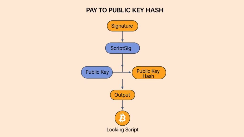 Pay to Public Key Hash Pay to Public Key Hash