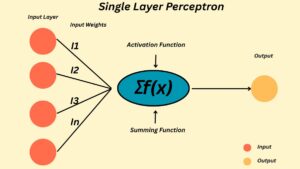 What Is Single Layer Perceptron Neural network Architecture