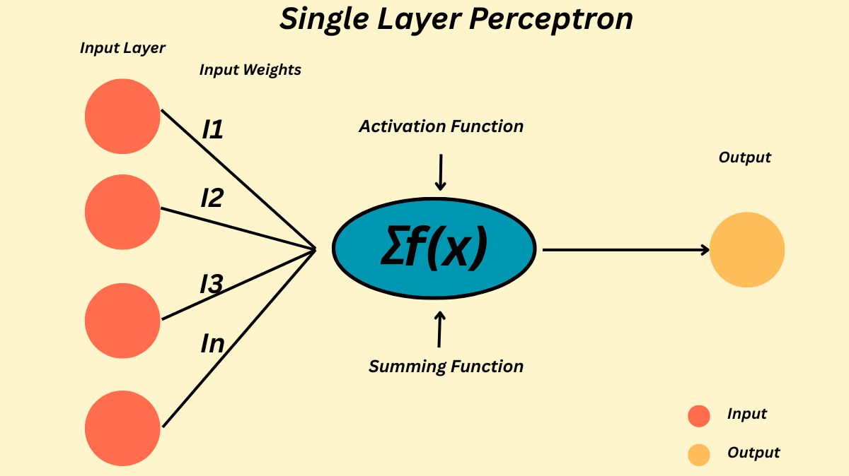 What Is Single Layer Perceptron Neural network Architecture