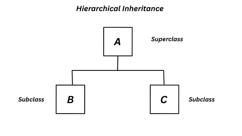 Hierarchical Inheritance