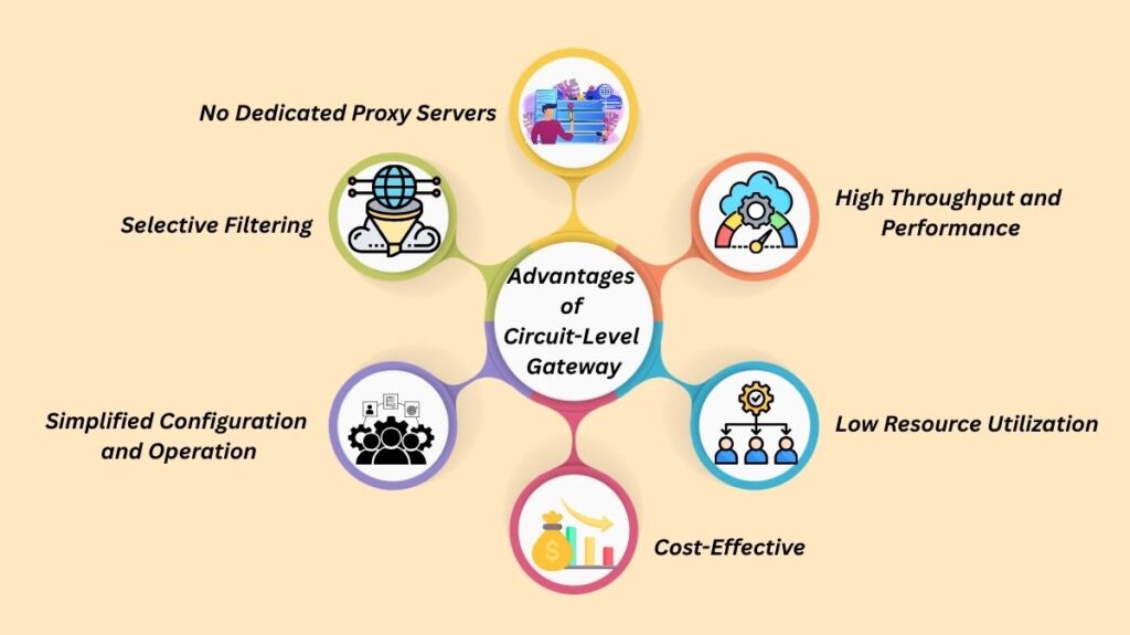 Advantages of Circuit-Level Gateway