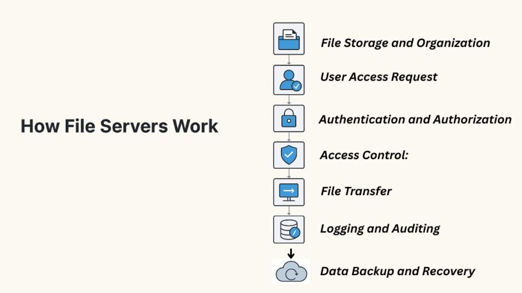 How Do File Servers Work How Do File Servers Work