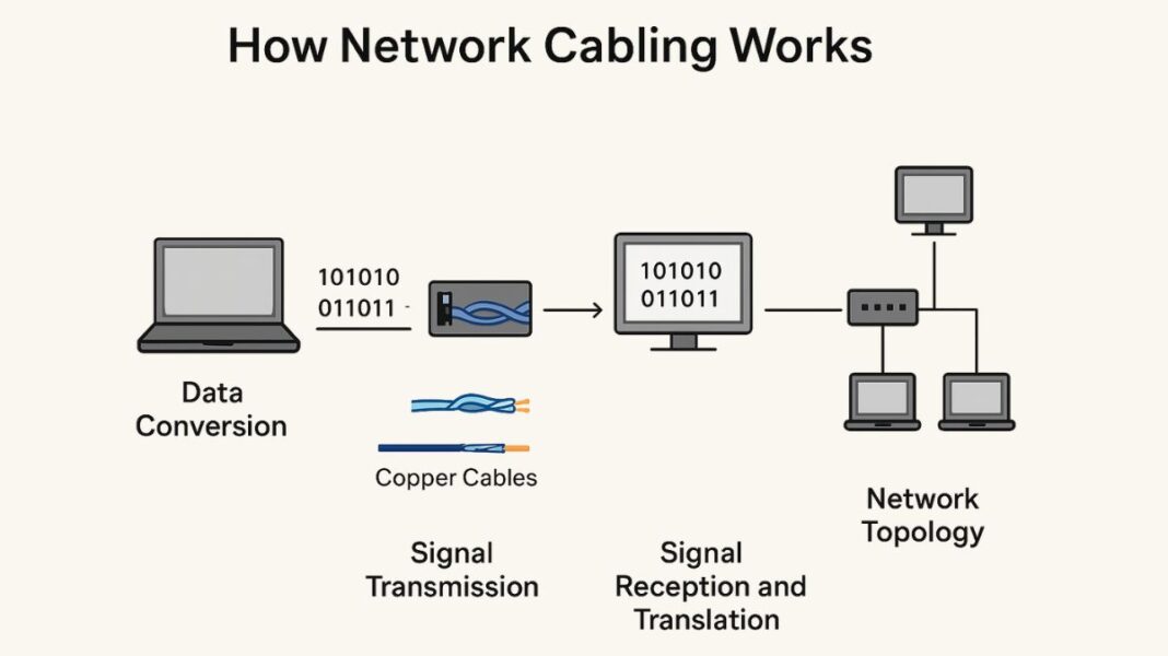 Importance Of Network Cabling And Types of Network Cables
