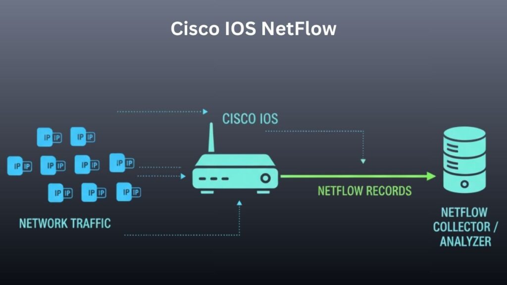What is Cisco IOS NetFlow?