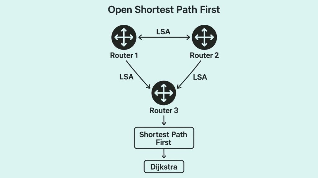 Fundamentals of OSPF