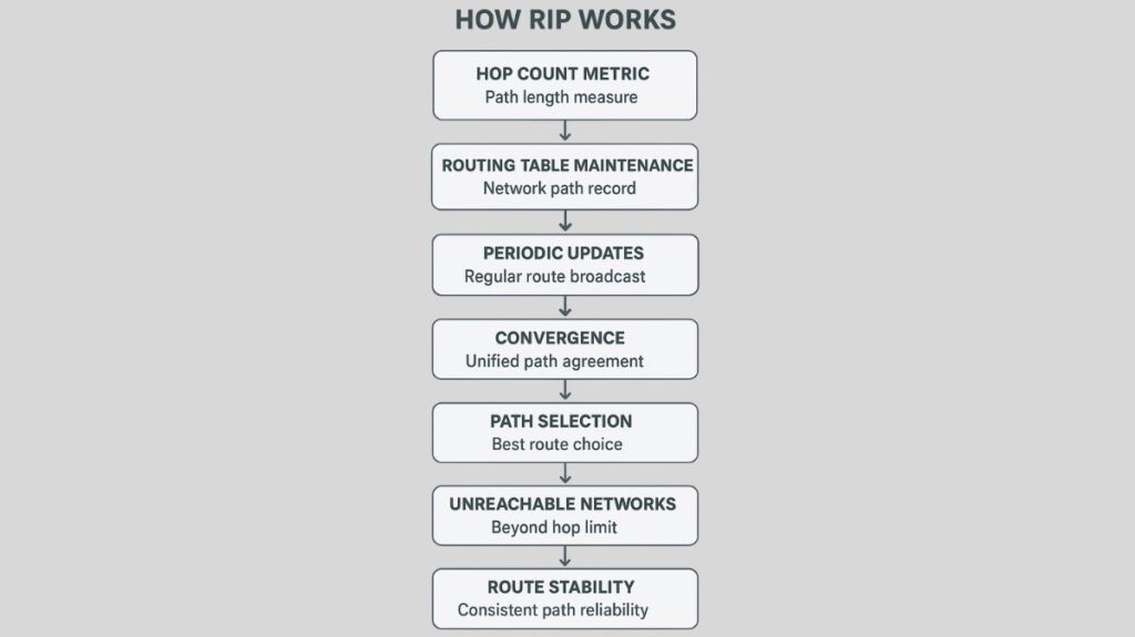 How RIP Works