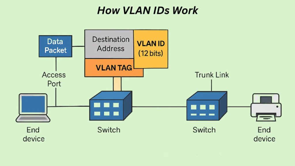 How does VLAN ID Work How does VLAN ID Work