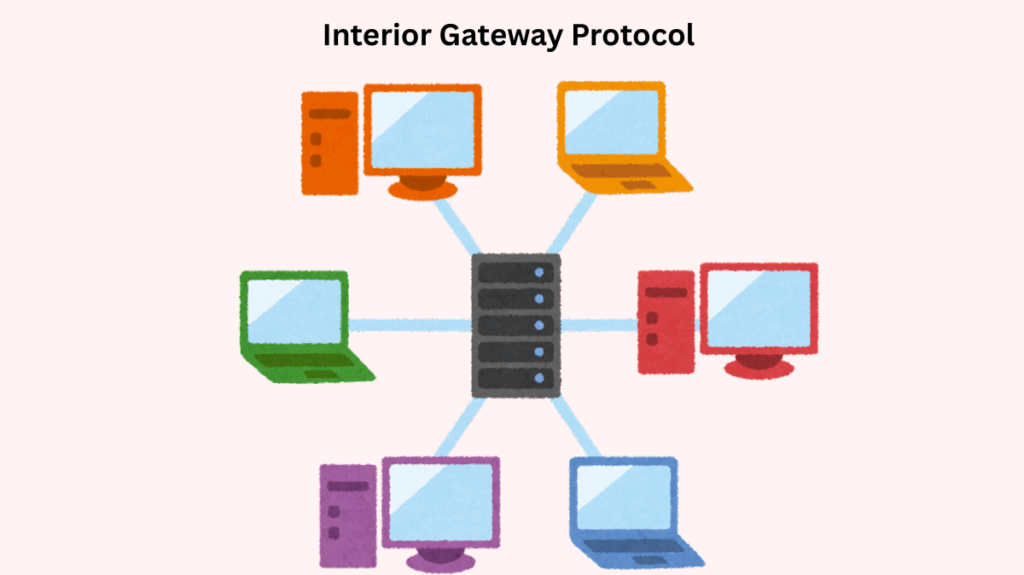 Interior Gateway Protocol 