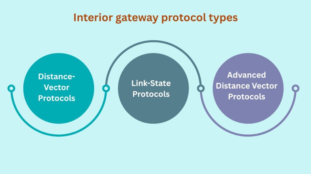 Interior gateway protocol types