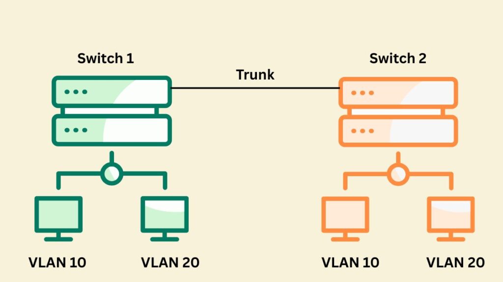 What is VLAN trunking
