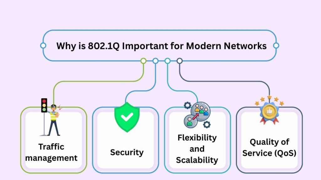 Why is 802.1Q Important for Modern Networks Why is 802.1Q Important for Modern Networks