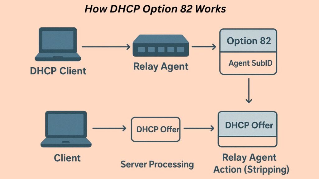 How DHCP Option 82 Works How DHCP Option 82 Works
