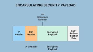 What is Encapsulating Security Payload and How ESP Works