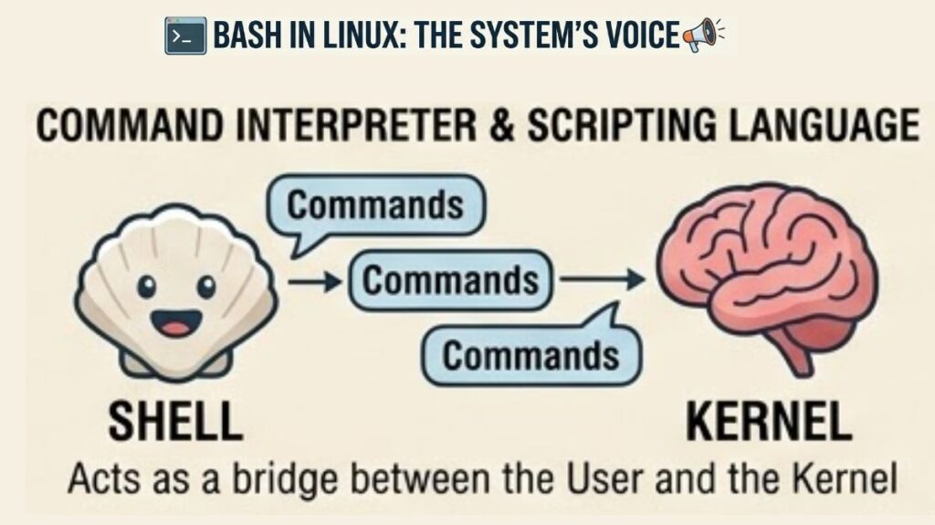 Bash in Linux